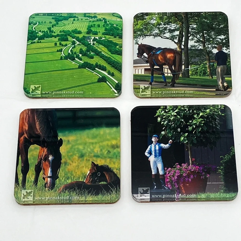 Pin Oak Stud Coaster Set of 4 Multicolor Horse Equestrian Photography Acrylic